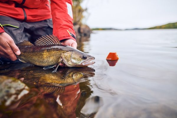 Deeper Start Fishfinder - Image 5