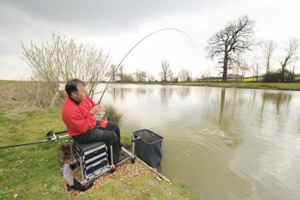 Shimano Štap Forcemaster BX Commercial Feeder - Image 4