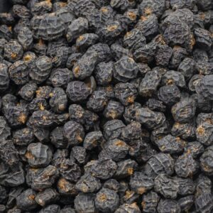Black jumbo tiger nuts (XXL crni tigrov orah)
